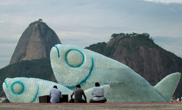 Pesci Giganti Rio de Janeiro